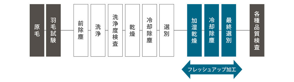 原毛の買い付けから羽毛の仕上げまで、すべての工程を自社で行っています。